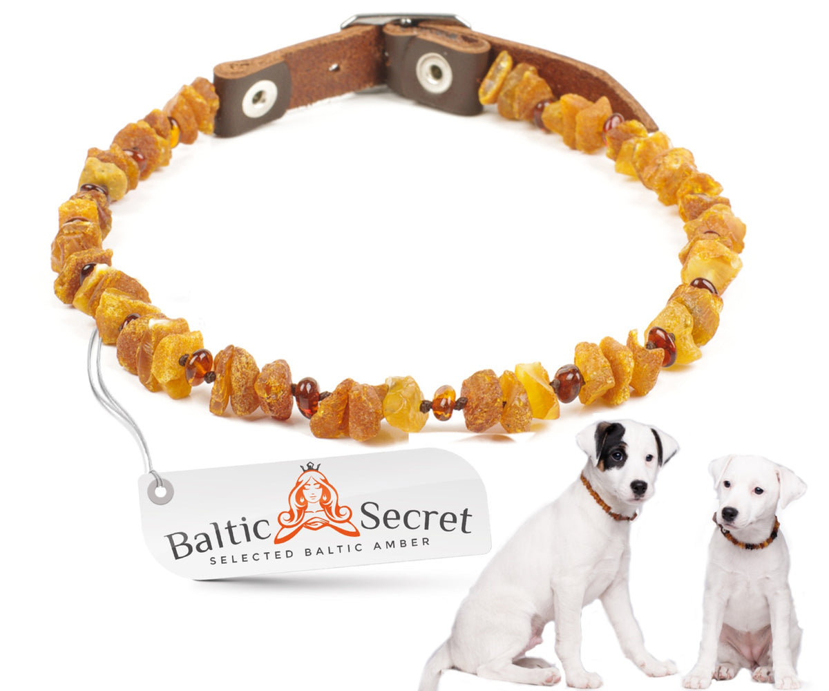 Amber Collar for Dogs & Cats with Adjustable Leather Belt and Amber Inserts