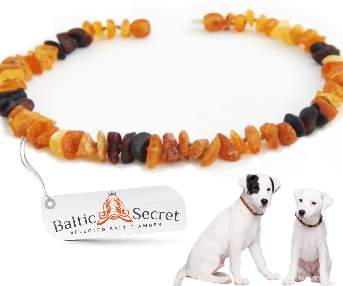 Amber Collar for Dogs & Cats with 3 Black Amber Inserts