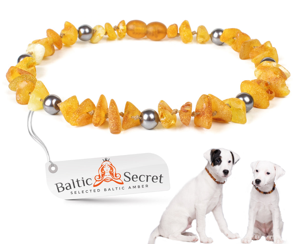 Amber Collar for Dogs & Cats with White Pearl Bead Insert