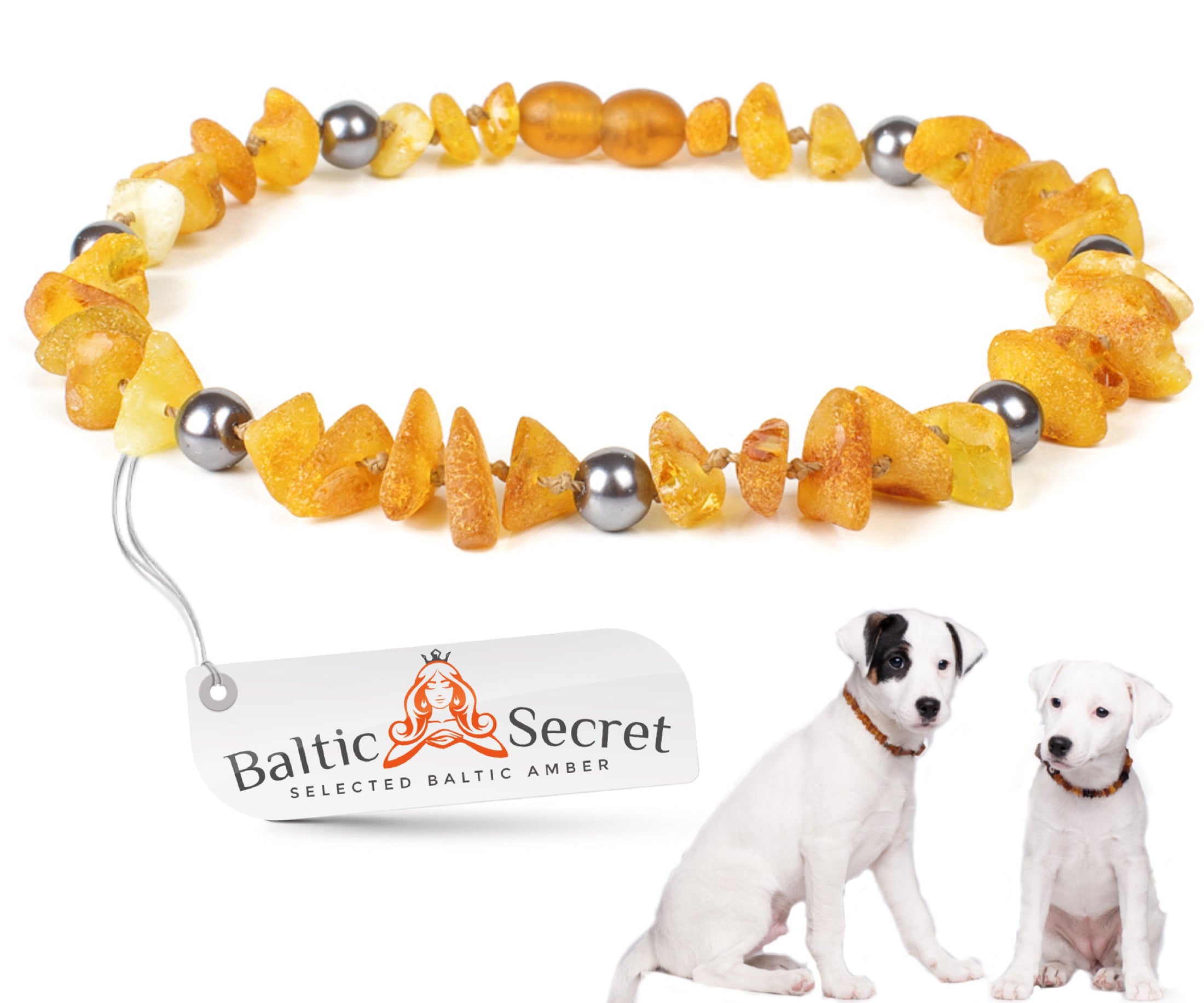 Amber Collar for Dogs & Cats with Safety Screw Clasp