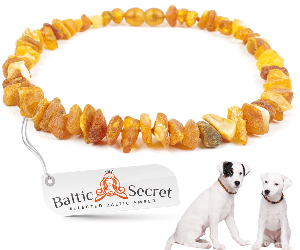Amber Collar for Dogs & Cats with Safety Clasp