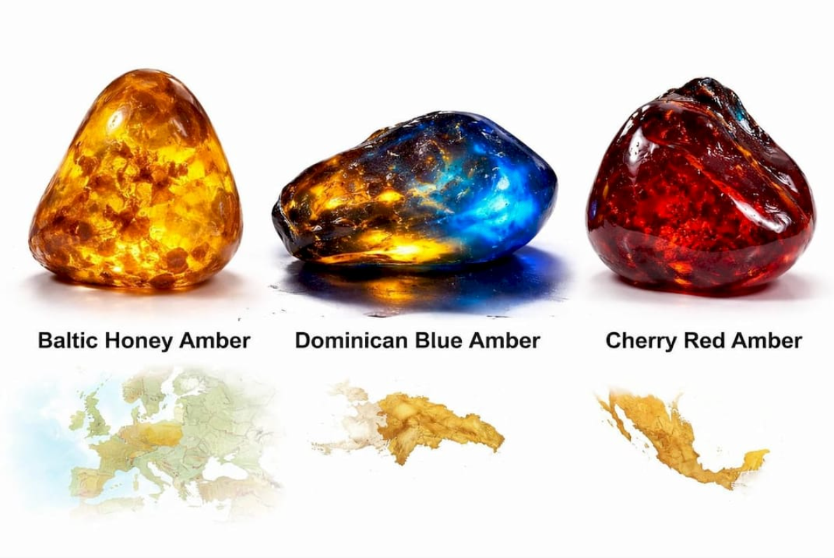 Baltic Amber versus Dominican Amber: Key Differences