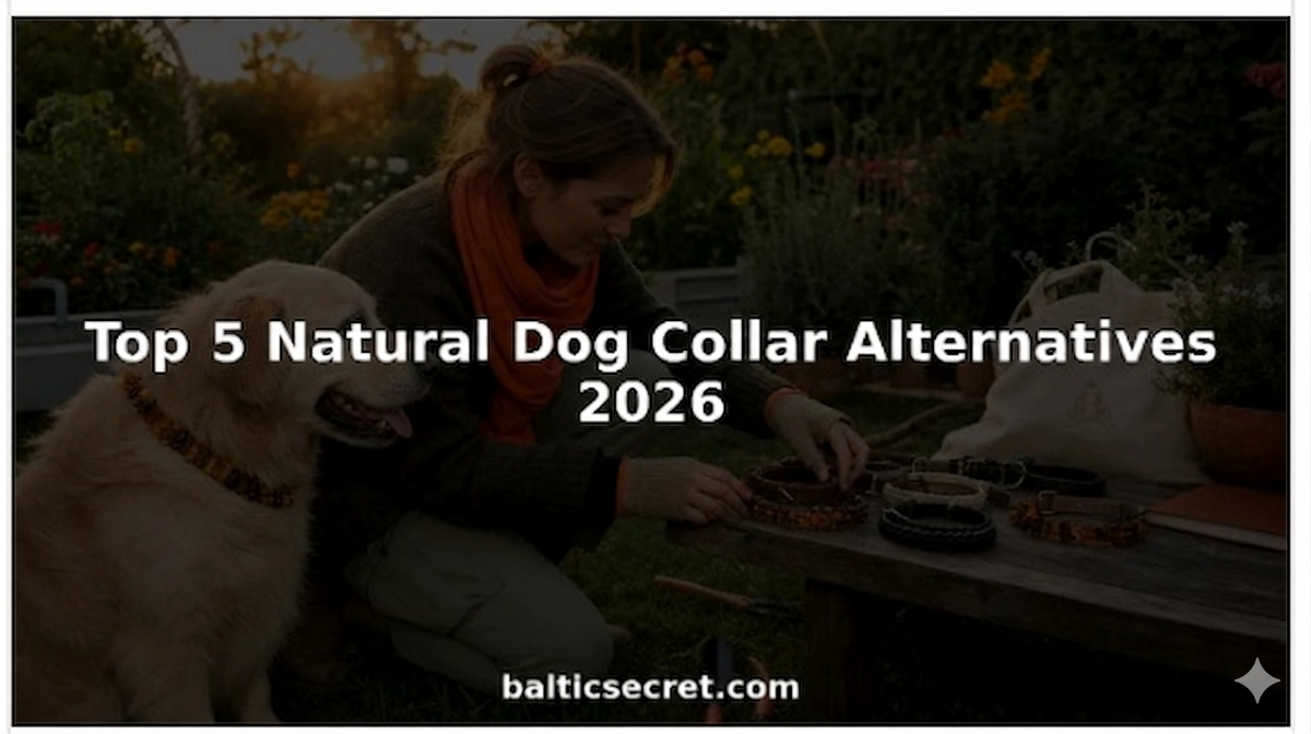 Top 5 Natural Dog Collar Alternatives 2026