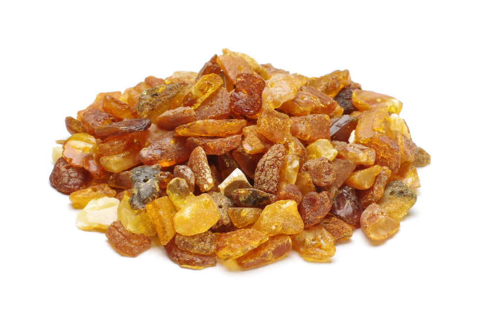 Amber Collar for Dogs – Does Amber Work Against Ticks and Fleas?