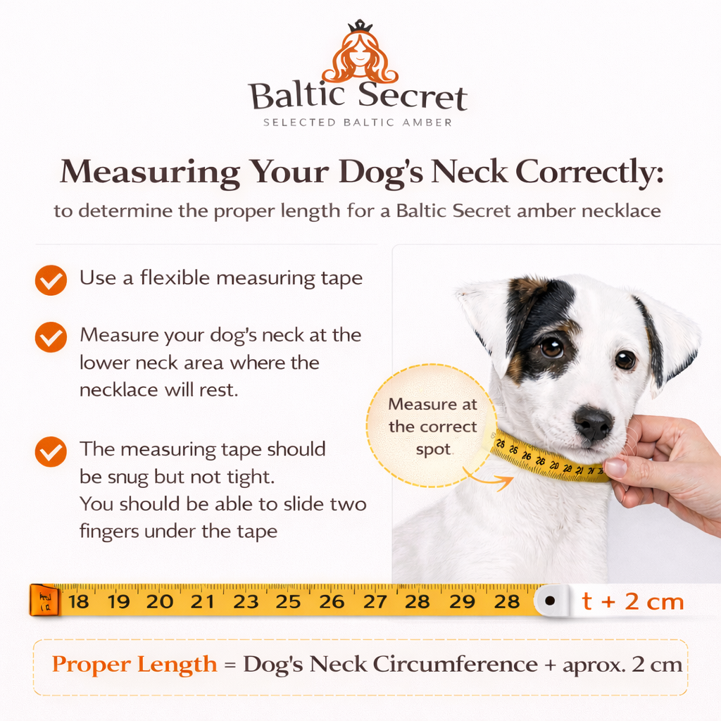 Amber Collar for Dogs & Cats with Safety Screw Clasp
