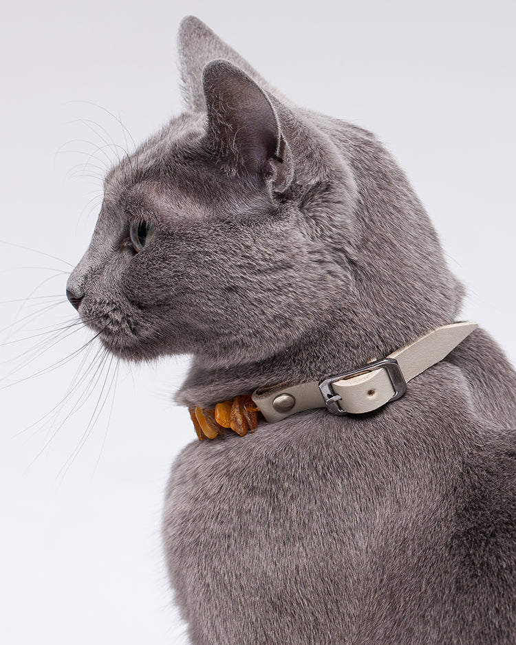 Grey Leather Amber Pet Collar