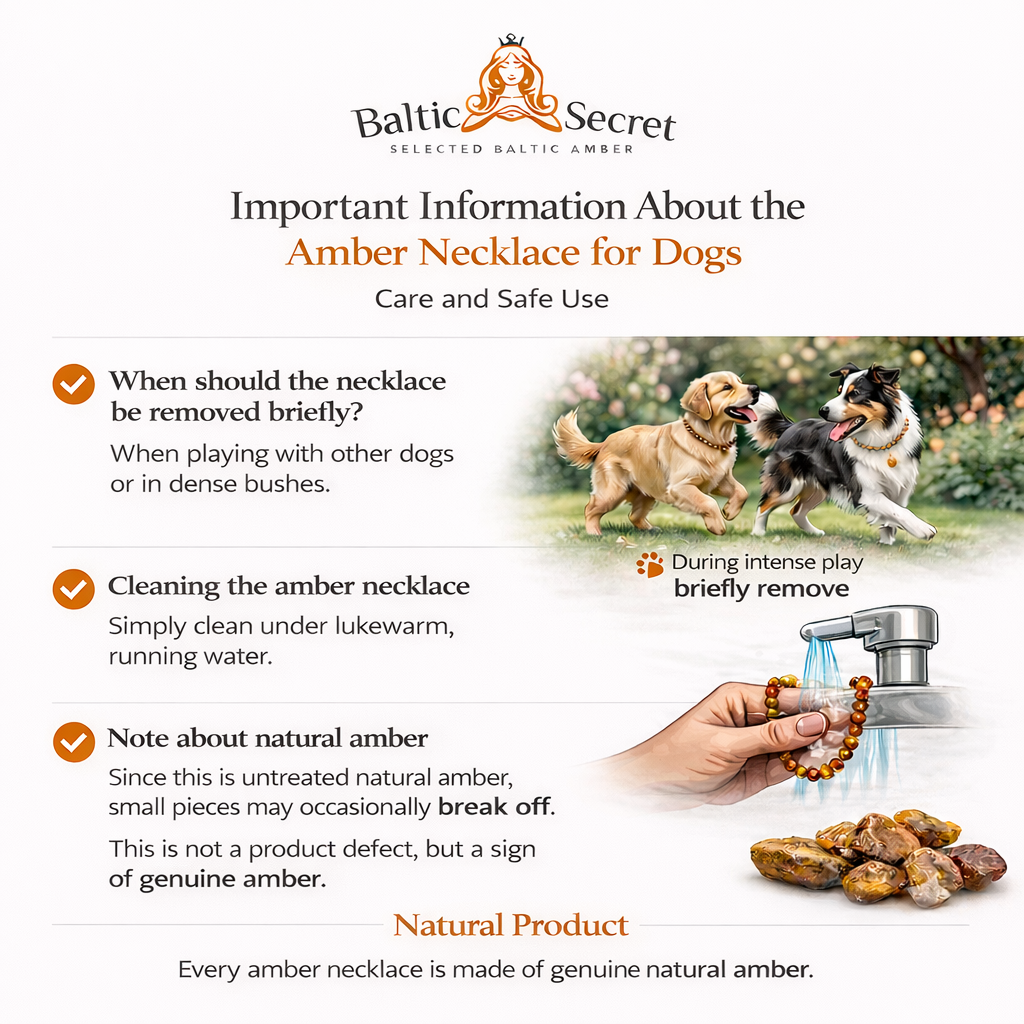 Grey Leather Amber Pet Collar