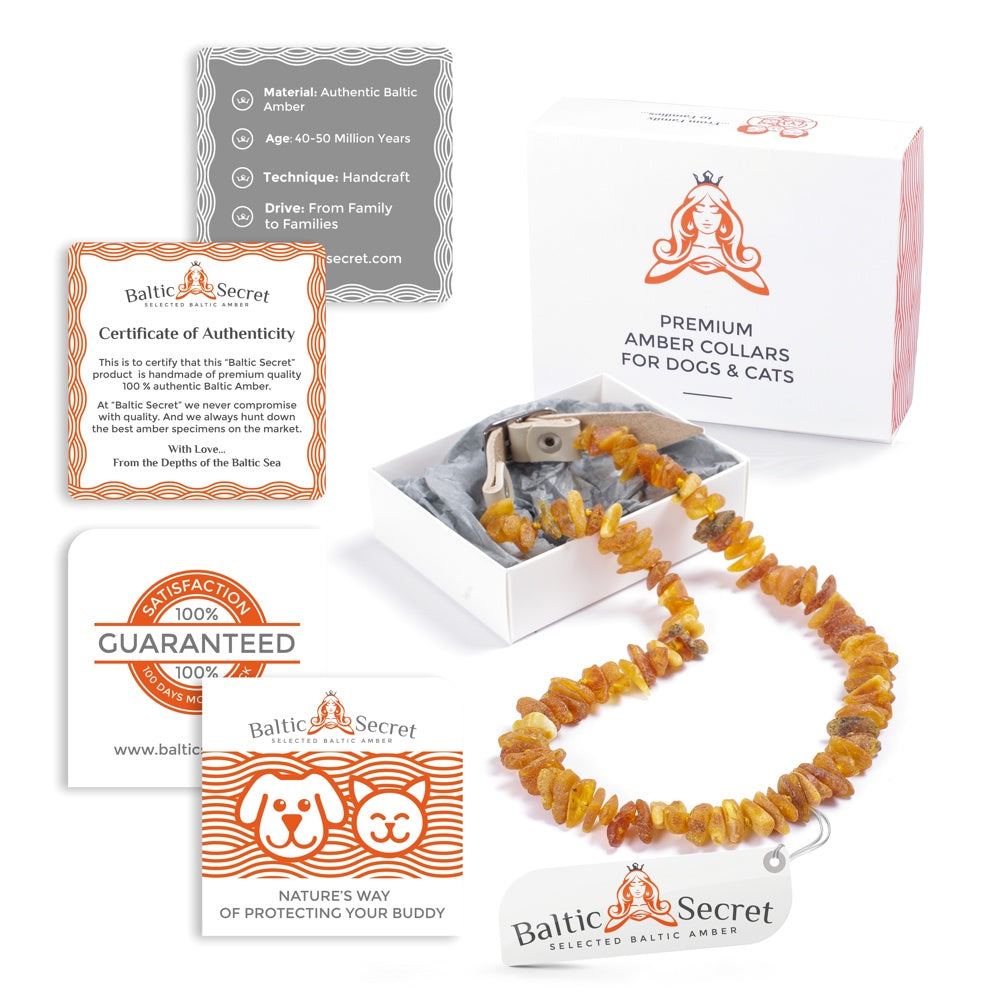 Grey Leather Amber Pet Collar