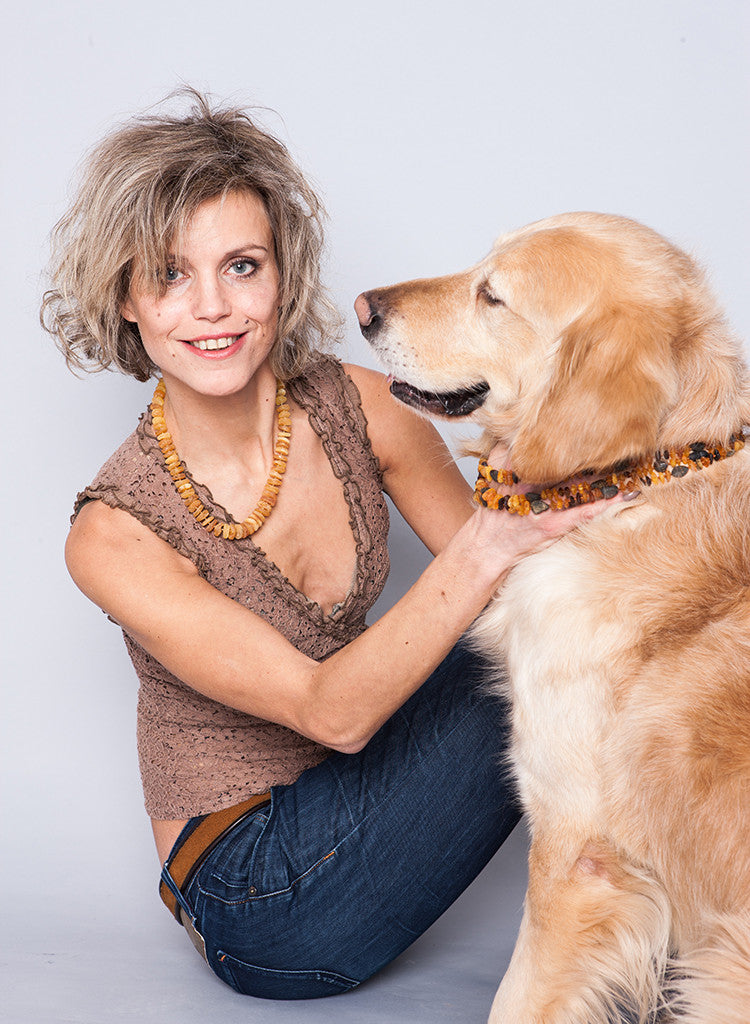 Amber Collar for Dogs & Cats with Safety Screw Clasp / Natural Flea & Tick Prevention and Control - Baltic Secret