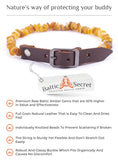 Load image into Gallery viewer, Amber Flea Collars for Dogs & Cats with Adjustable Leather Belt
