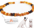 Load image into Gallery viewer, Amber Collar for Dogs & Cats Natural Tick Treatment
