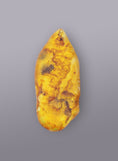 Load image into Gallery viewer, AUTHENTIC BALTIC AMBER SPECIMEN - WEIGHT 10 GR. - Baltic Secret
