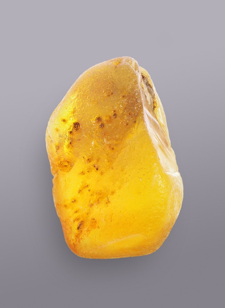 AUTHENTIC BALTIC AMBER SPECIMEN - WEIGHT 15 GR. - Baltic Secret