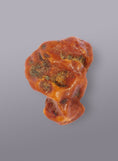 Load image into Gallery viewer, AUTHENTIC BALTIC AMBER SPECIMEN - WEIGHT 17 GR. - Baltic Secret
