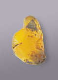 Load image into Gallery viewer, AUTHENTIC BALTIC AMBER SPECIMEN - WEIGHT 28 GR. - Baltic Secret
