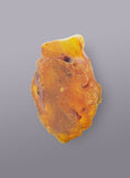 Load image into Gallery viewer, AUTHENTIC BALTIC AMBER SPECIMEN - WEIGHT 40 GR. - Baltic Secret
