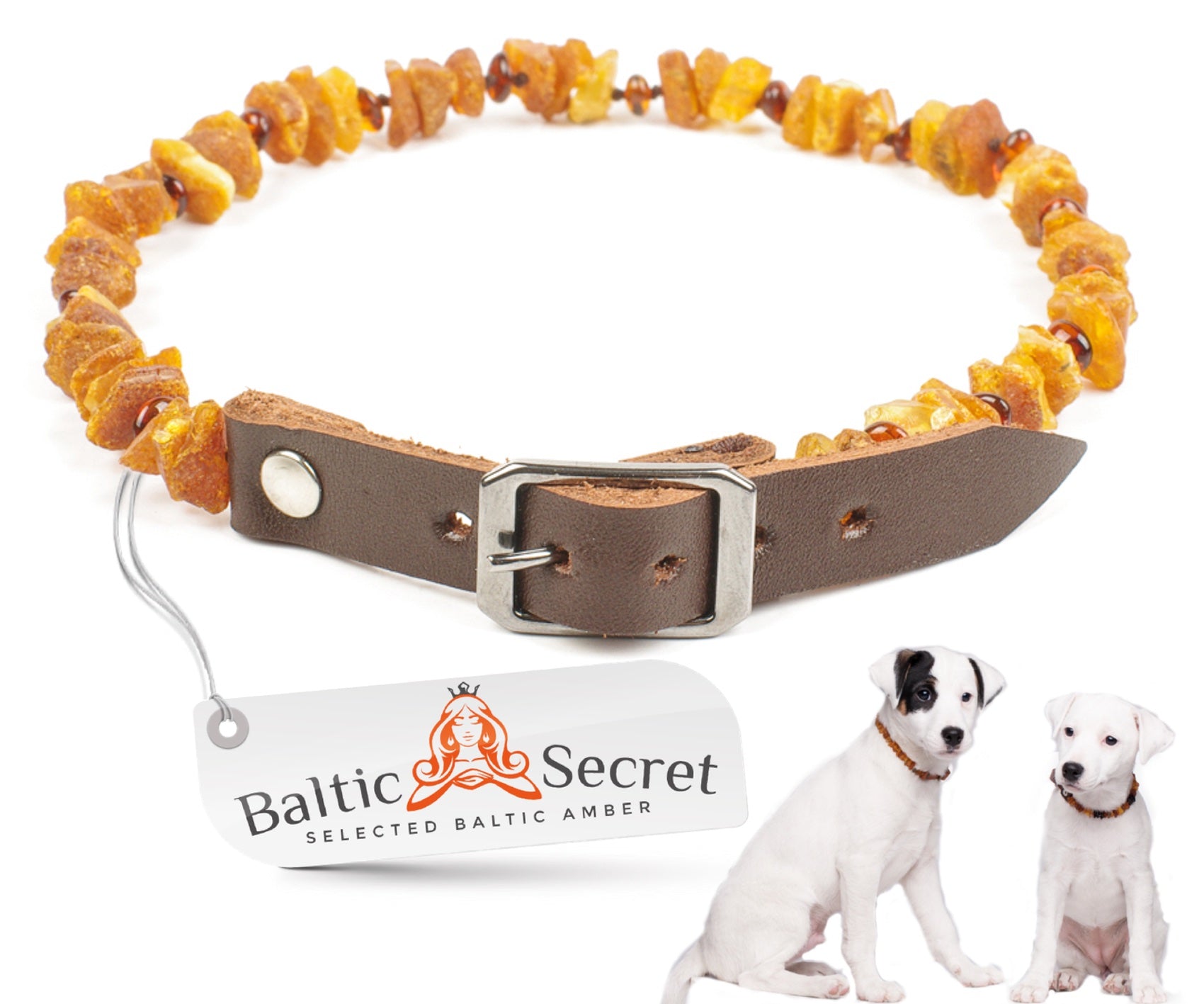Amber Flea Collars for Dogs Cats with Adjustable Leather Belt Baltic Secret