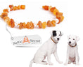 Load image into Gallery viewer, Amber Collar for Dogs & Cats with Safety Screw Clasp
