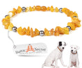 Load image into Gallery viewer, Amber Collar for Dogs & Cats with Safety Screw Clasp
