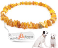 Load image into Gallery viewer, Amber Collar for Dogs & Cats Natural Tick Control
