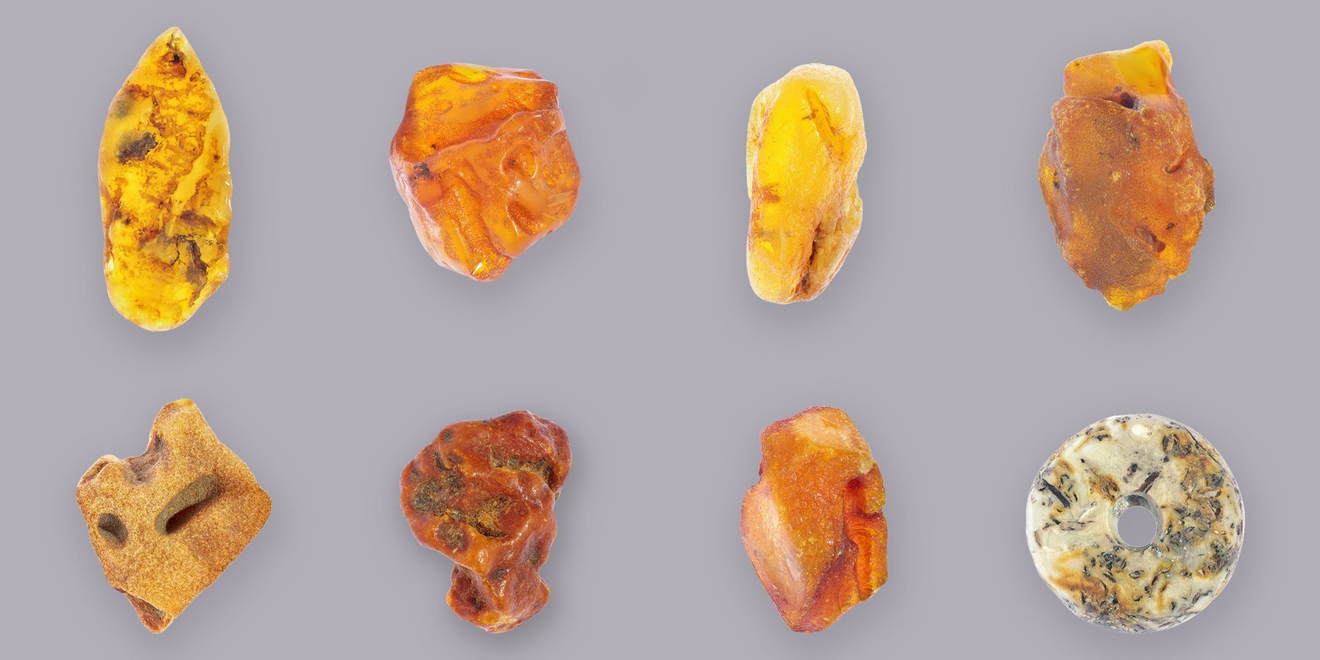 Quality Baltic Amber Specimens